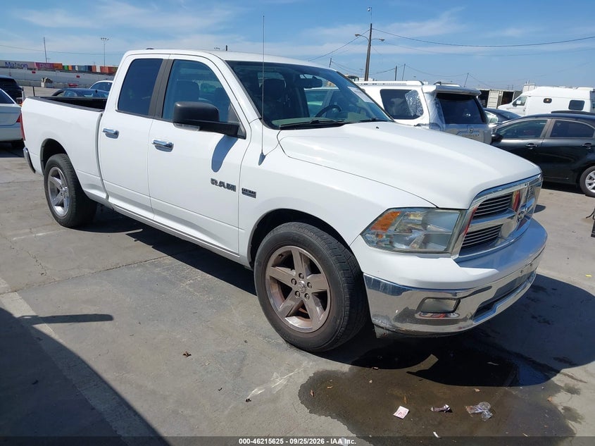 2010 DODGE RAM 1500 SLT/SPORT/TRX | 1D7RB1GT9AS162471 | UPCARS