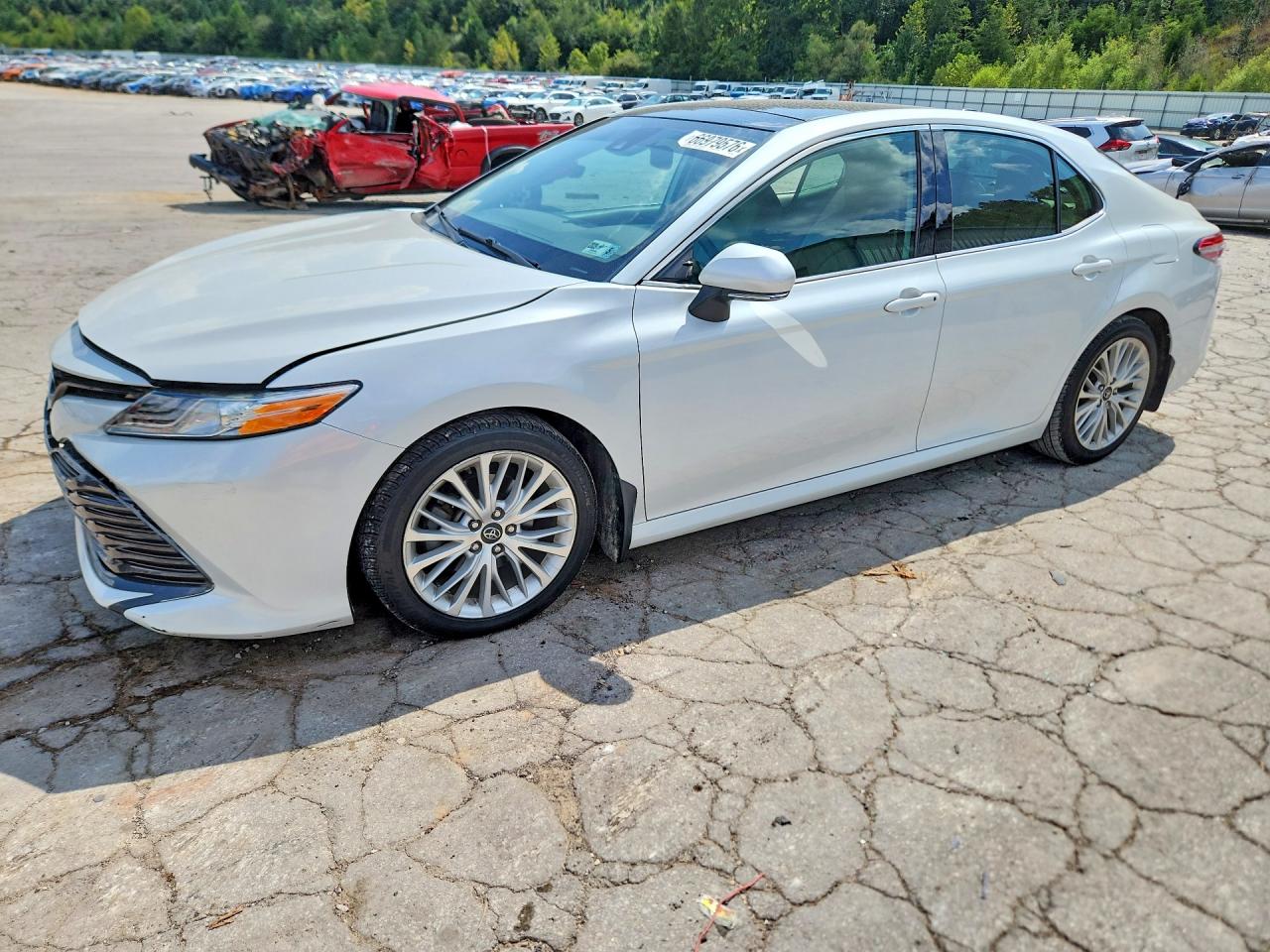 2019 TOYOTA CAMRY XLE | 4T1B11HK2KU813624 | UPCARS