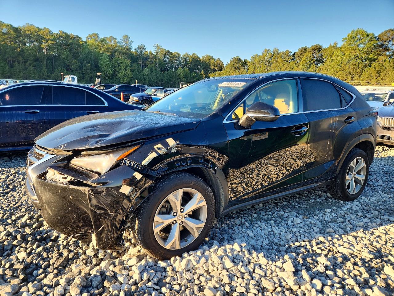 2017 LEXUS NX BASE | JTJYARBZ2H2060097 | UPCARS