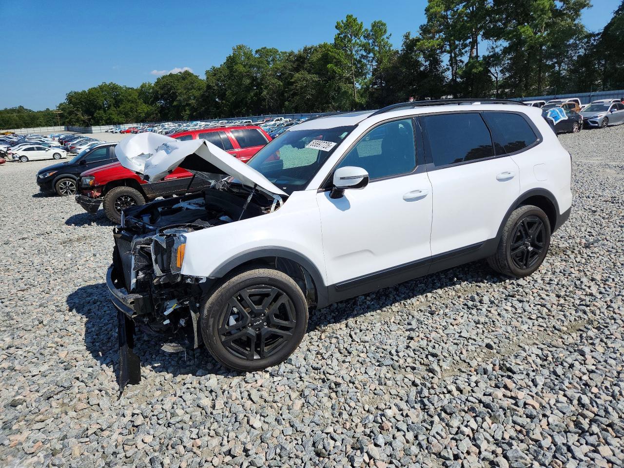 2024 KIA TELLURIDE SX-PRESTIGE X-LINE | 5XYP5DGC6RG534649 | UPCARS