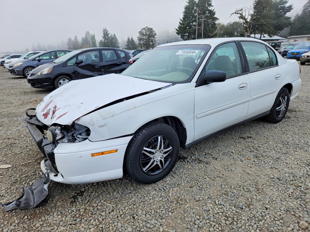 2004 CHEVROLET MALIBU | 1G1ND52F24M643398 | UPCARS