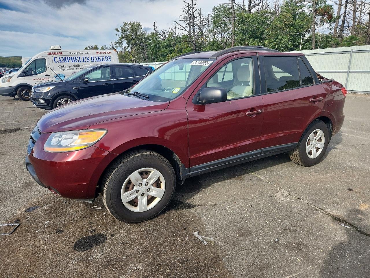 2009 HYUNDAI SANTA FE GLS | 5NMSG13DX9H316995 | UPCARS