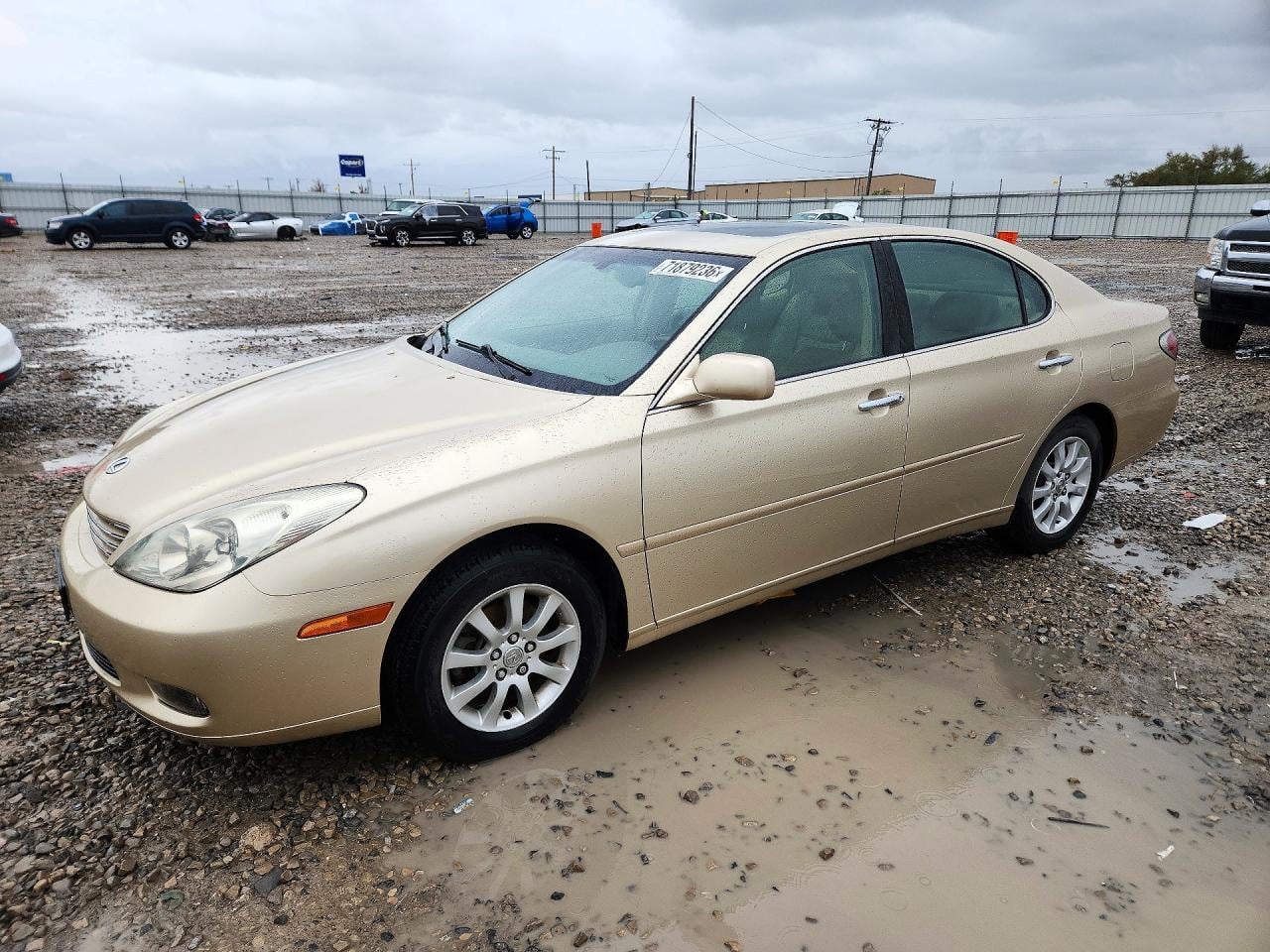 2003 LEXUS ES 300 | JTHBF30GX30138508 | UPCARS