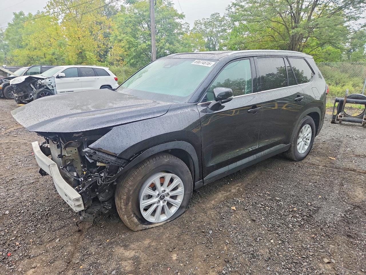 2025 TOYOTA ALL OTHER XLE | 5TDAAAB58SS097903 | UPCARS