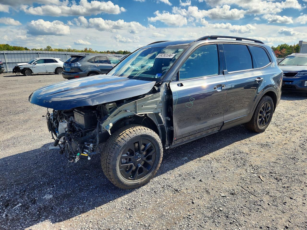 2024 KIA TELLURIDE SX X-PRO | 5XYP5DGC9RG434156 | UPCARS