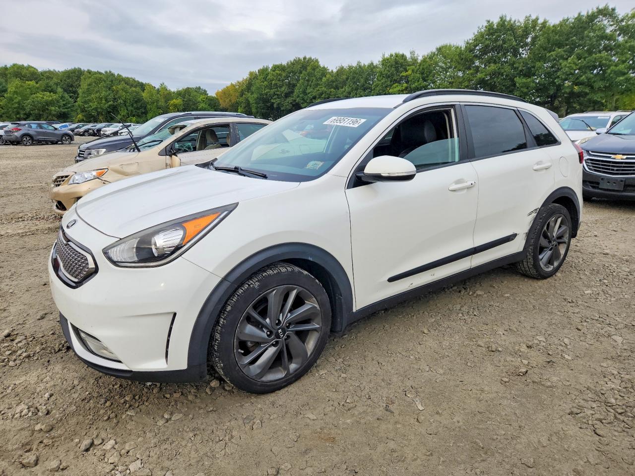 2017 KIA NIRO EX | KNDCC3LC7H5058875 | UPCARS