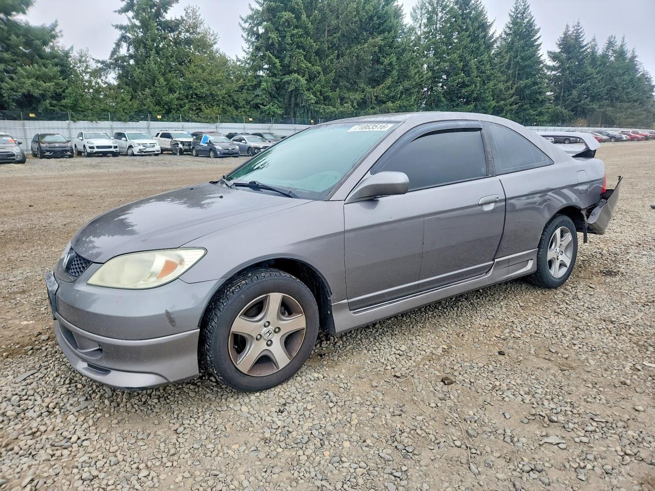 2004 HONDA CIVIC EX | 1HGEM22954L045586 | UPCARS