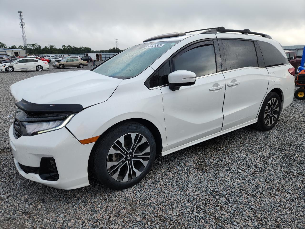 2025 HONDA ODYSSEY ELITE | 5FNRL6H91SB001845 | UPCARS