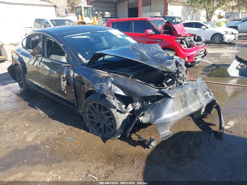 2024 TESLA MODEL 3 | 5YJ3E1EAXRF739428 | UPCARS