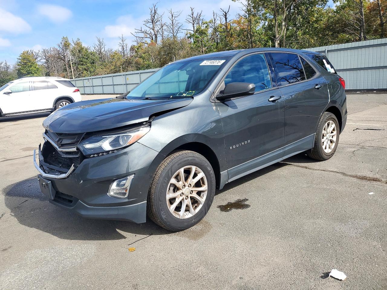 2019 CHEVROLET EQUINOX LS | 3GNAXHEV4KS641836 | UPCARS
