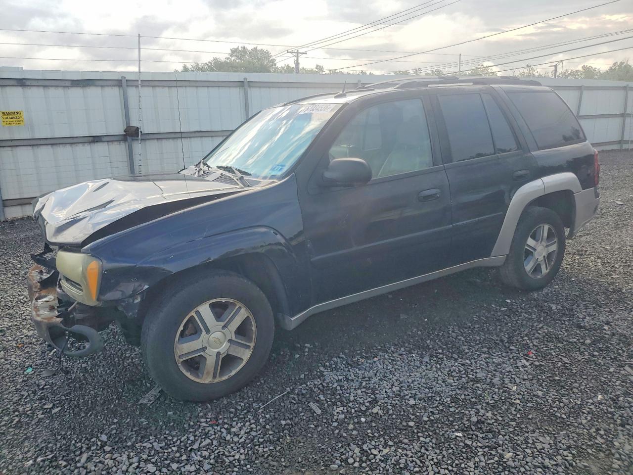 2005 CHEVROLET TRAILBLAZE LS | 1GNDT13S952197491 | UPCARS