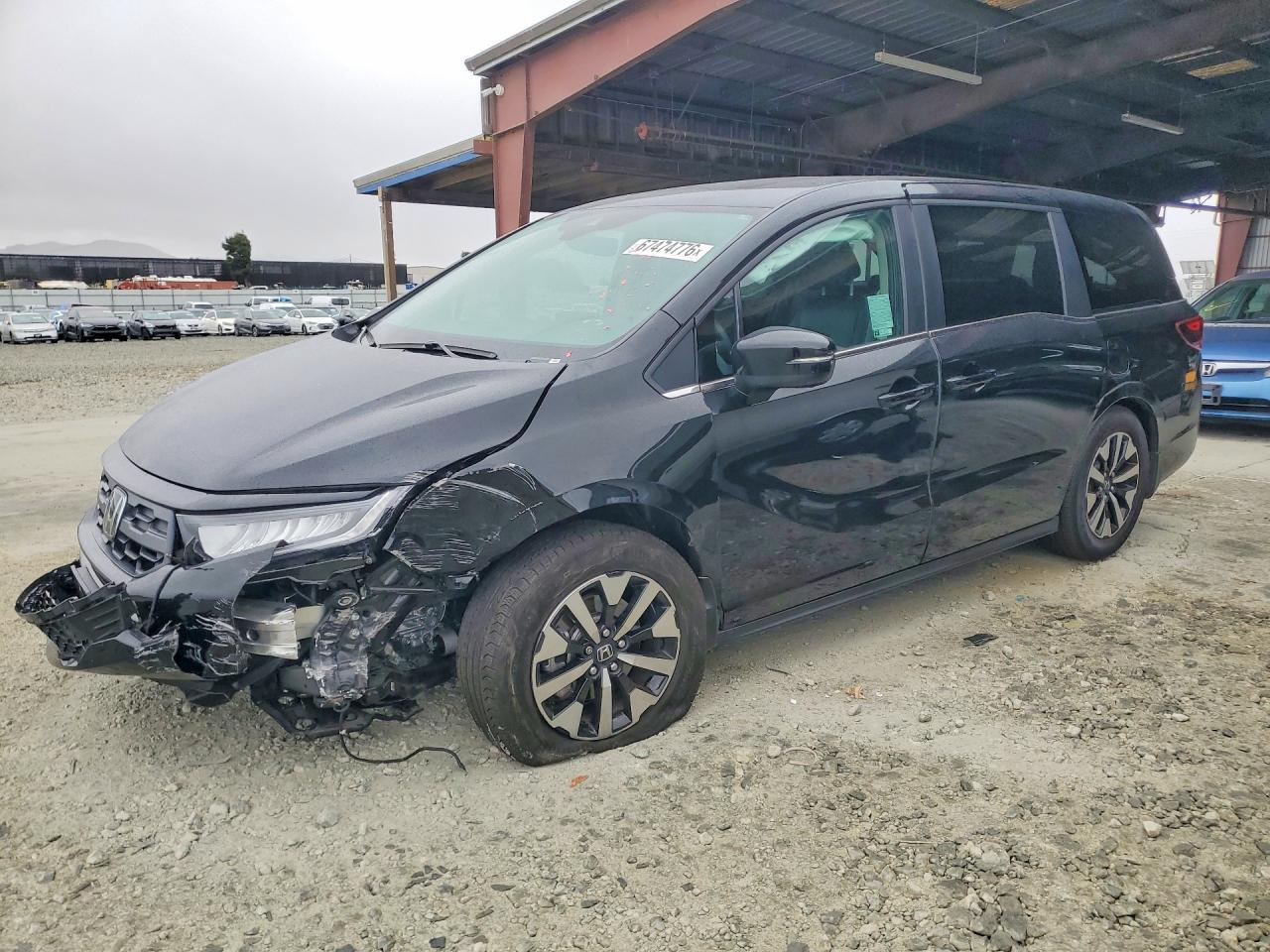 2025 HONDA ODYSSEY EXL | 5FNRL6H68SB069680 | UPCARS