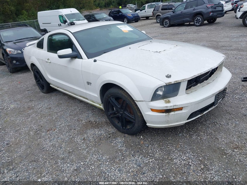 2006 FORD MUSTAN GT | 1ZVFT82H165162618 | UPCARS