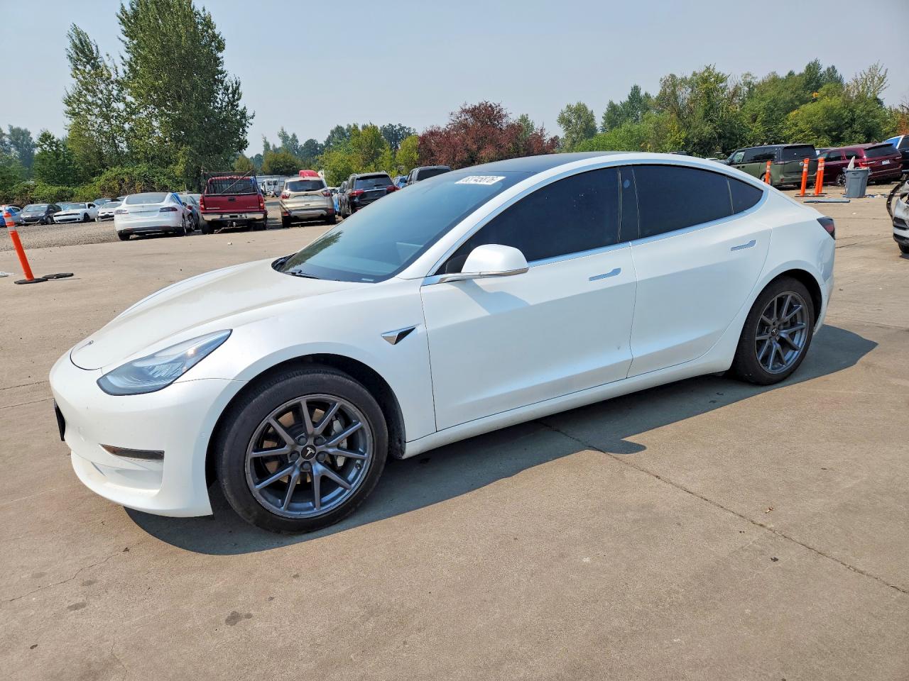 2020 TESLA MODEL 3 | 5YJ3E1EA8LF703227 | UPCARS