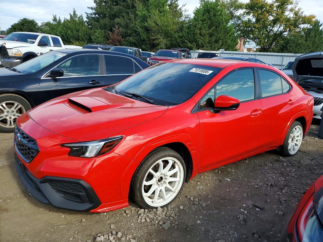 2023 SUBARU WRX | JF1VBAA63P9816284 | UPCARS