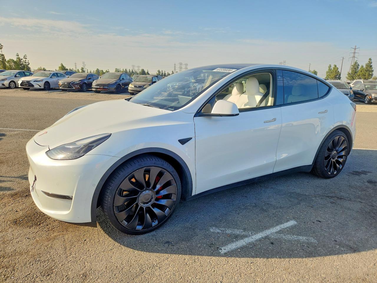 2022 TESLA MODEL Y | 7SAYGDEFXNF495466 | UPCARS