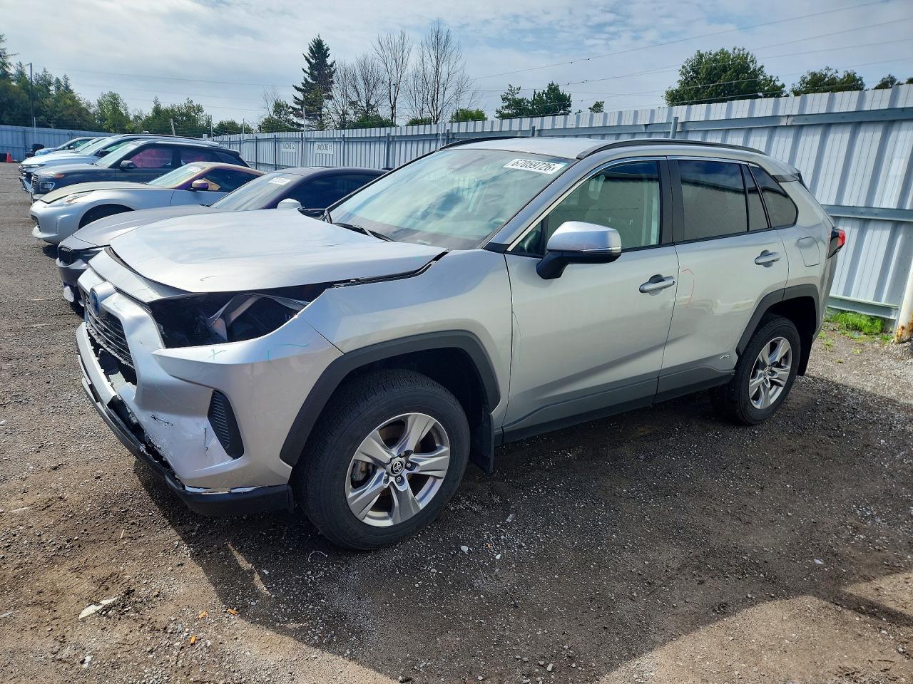 2024 TOYOTA RAV4 LE | 2T3BWRFV1RW234381 | UPCARS