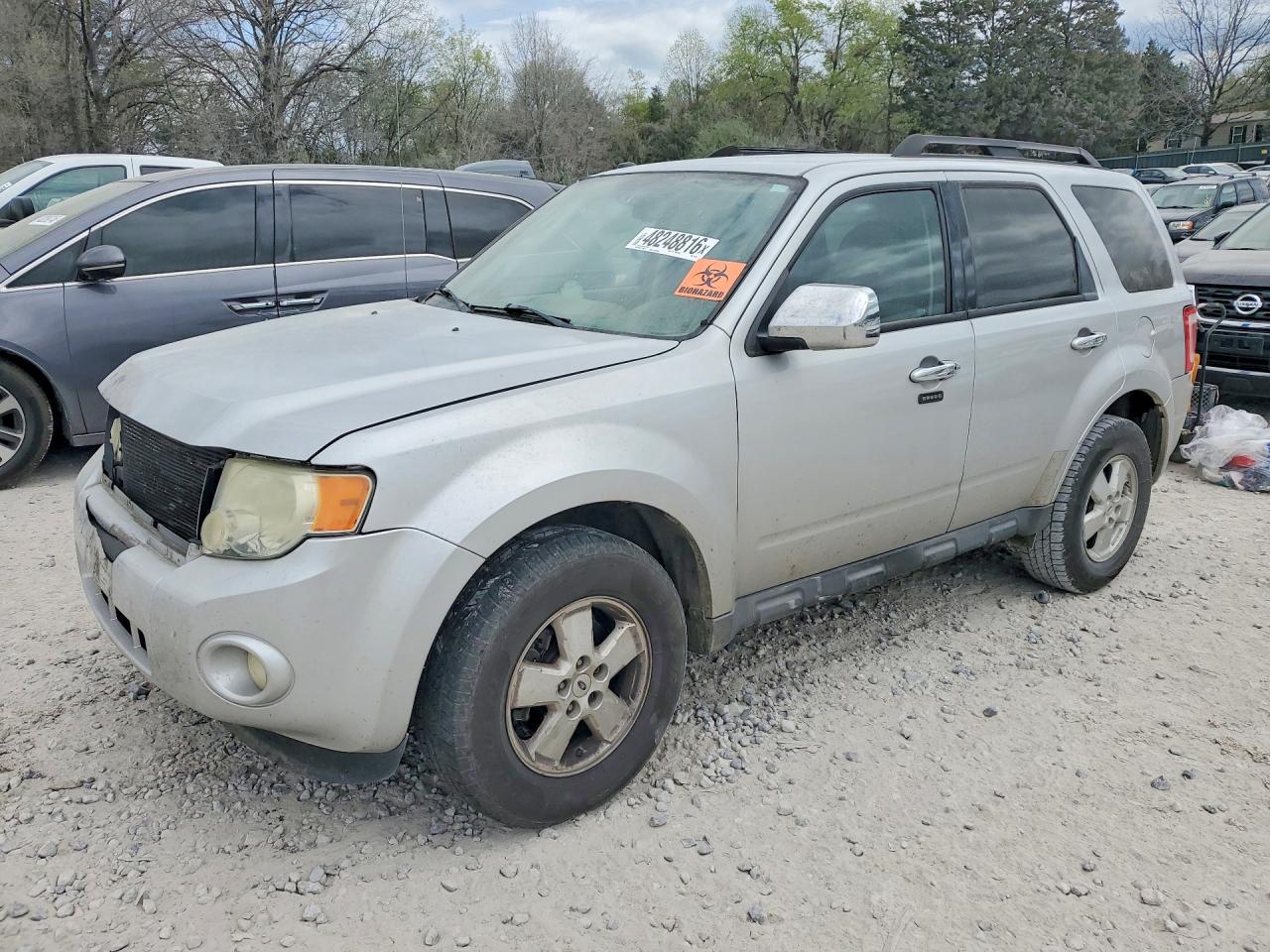 2010 FORD ESCAPE XLT | 1FMCU0D77AKD13184 | UPCARS