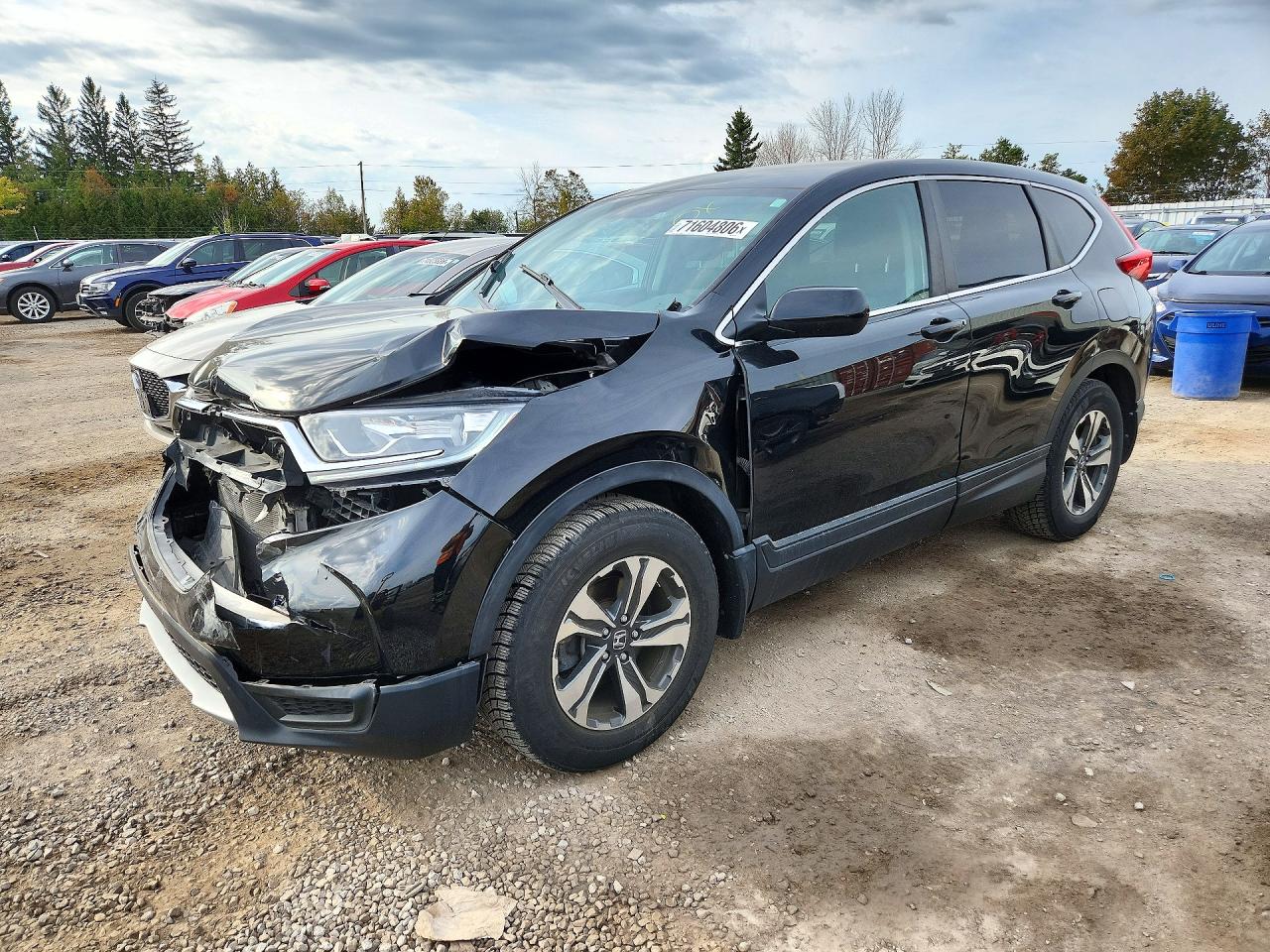 2019 HONDA CRV LX | 2HKRW1H36KH002609 | UPCARS