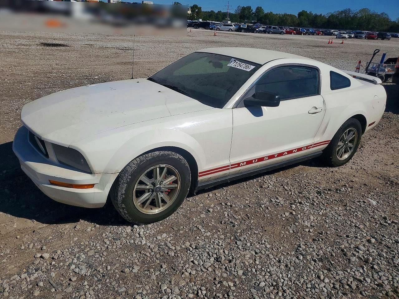 2005 FORD MUSTANG | 1ZVFT80N355257138 | UPCARS