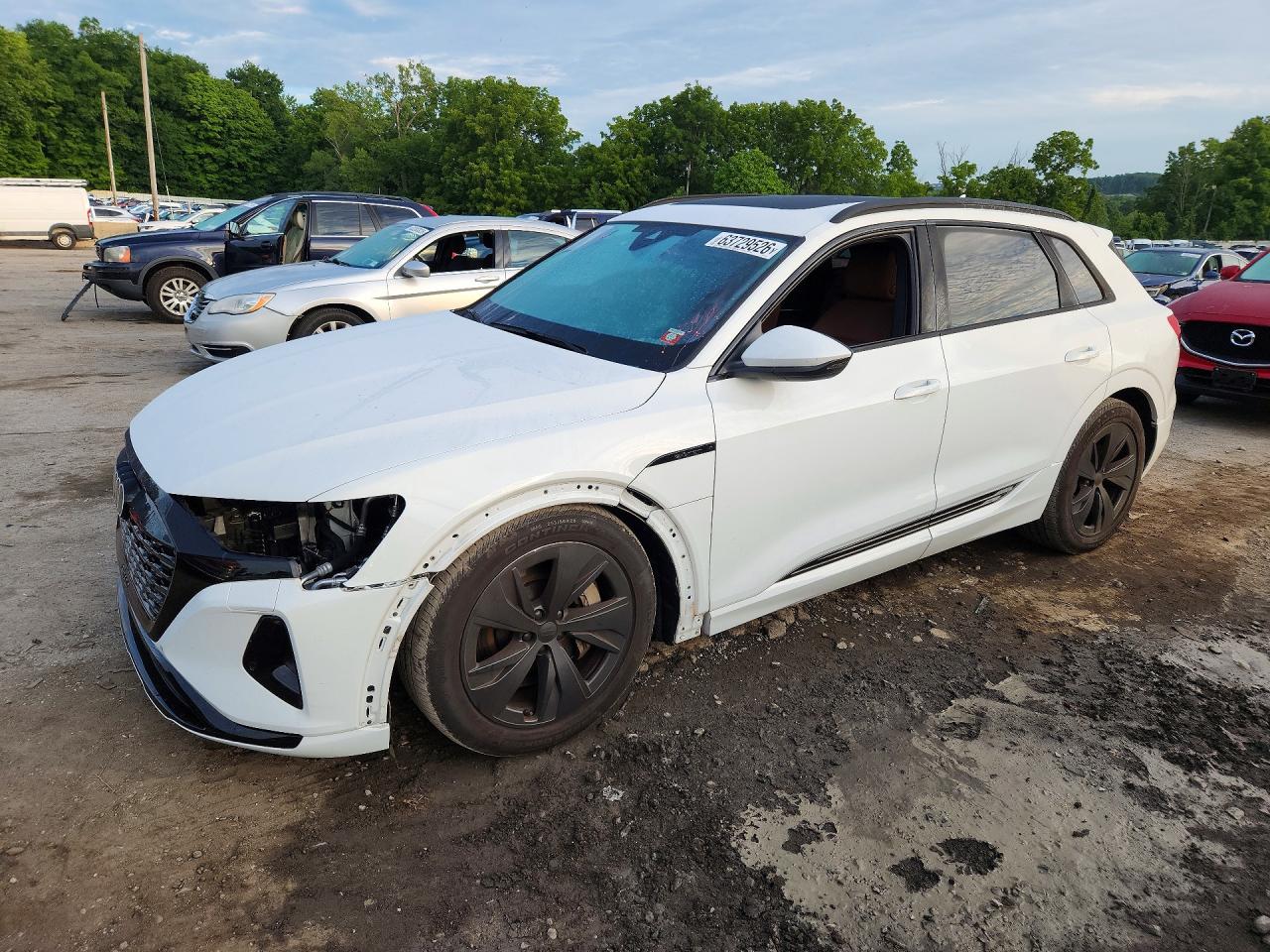 2024 AUDI ALL OTHER PREMIUM | WA14AAGE2RB014371 | UPCARS