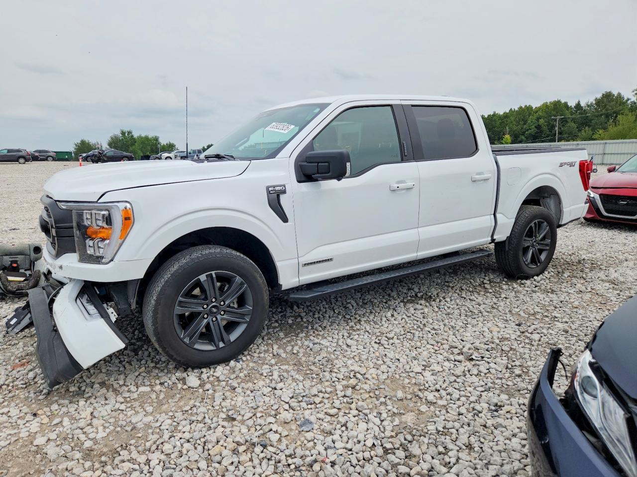 2023 FORD F150 SUPERCREW | 1FTFW1ED0PFD09341 | UPCARS