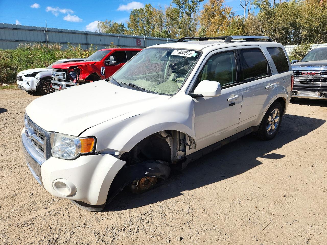 2010 FORD ESCAPE LIMITED | 1FMCU0EG9AKB43893 | UPCARS