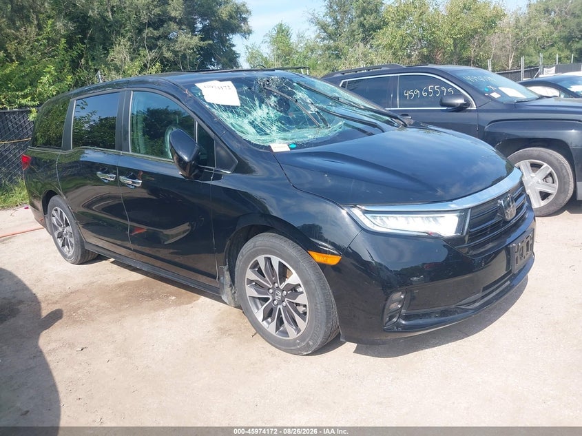 2024 HONDA ODYSSEY EX-L | 5FNRL6H69RB042479 | UPCARS