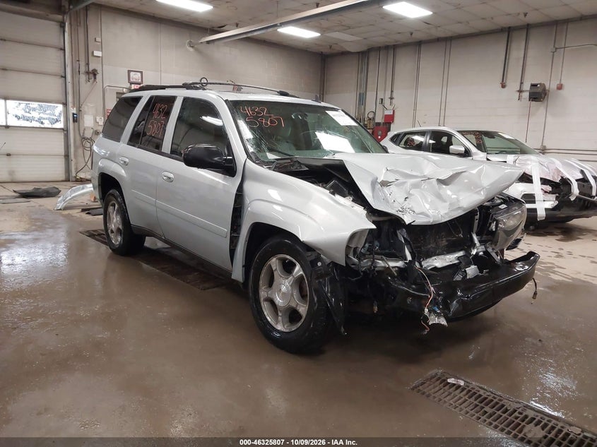 2008 CHEVROLET TRAILBLAZER LT | 1GNDT13SX82171017 | UPCARS