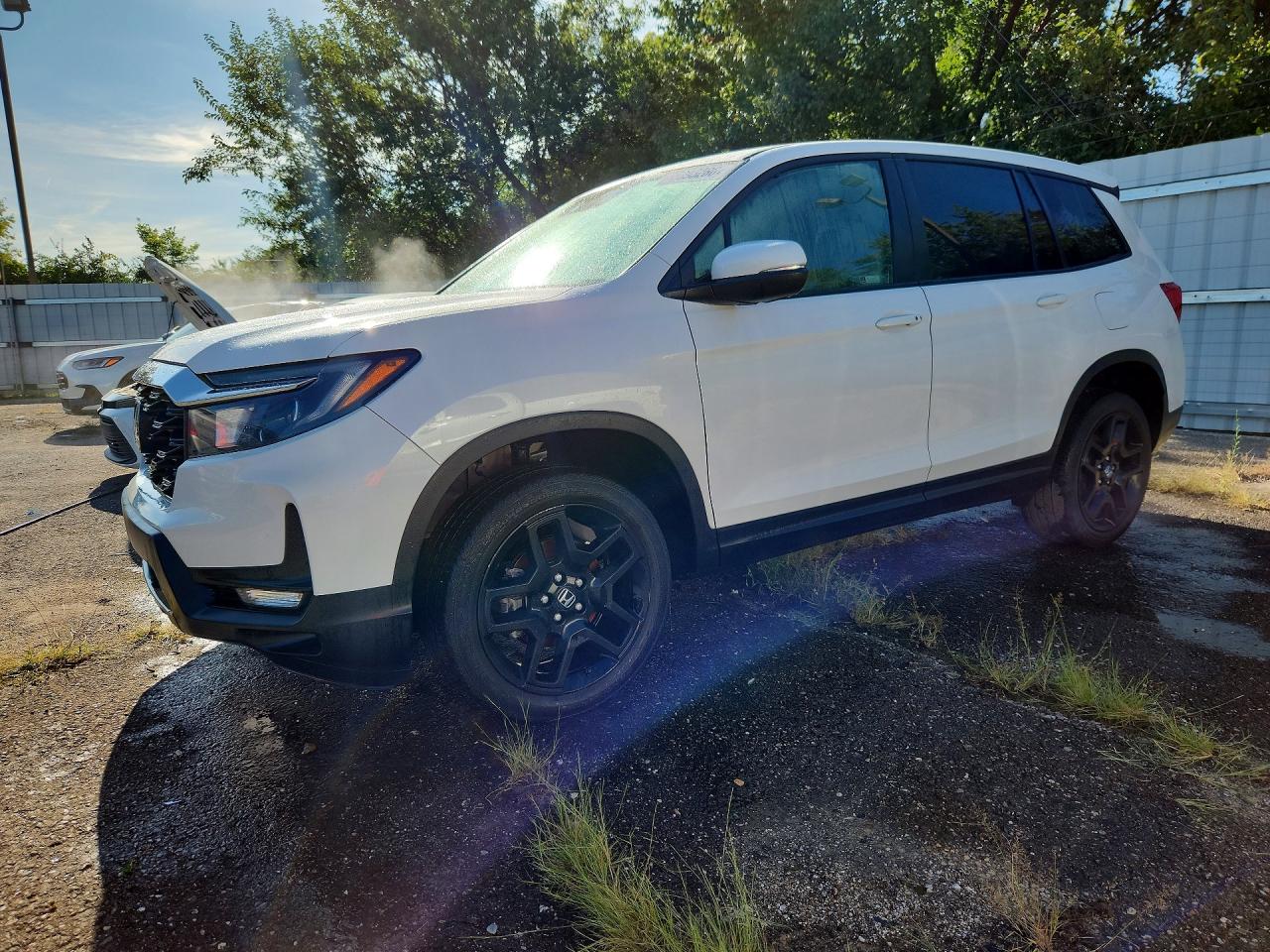 2024 HONDA PASSPORT EXL | 5FNYF8H58RB010080 | UPCARS