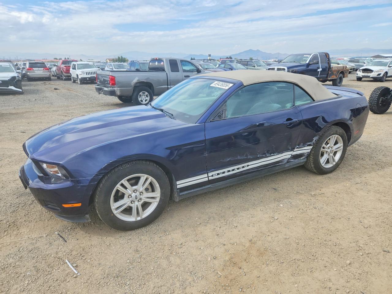 2010 FORD MUSTANG | 1ZVBP8EN1A5167833 | UPCARS