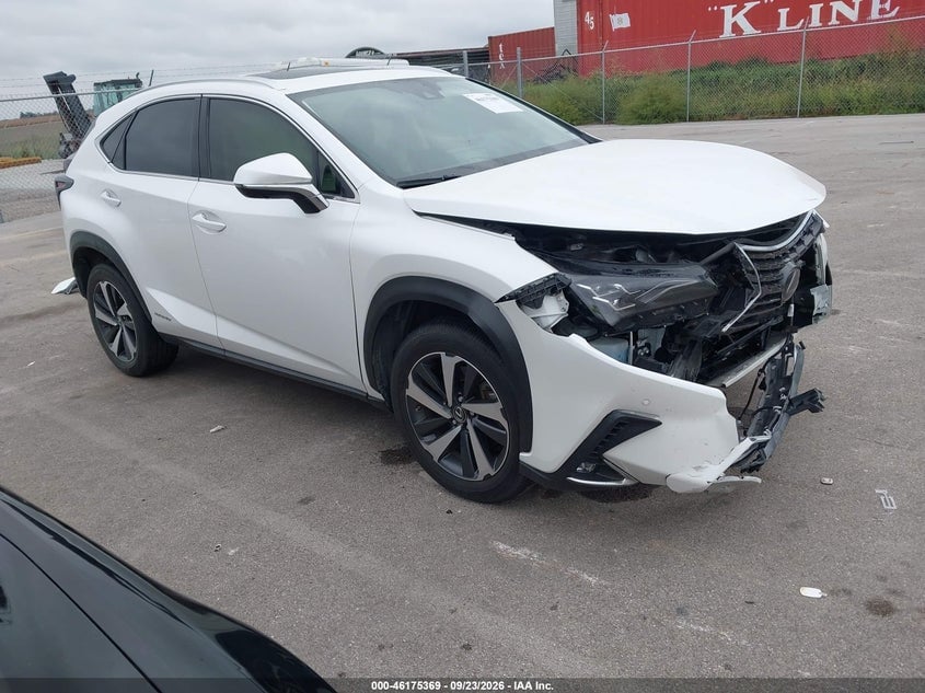2020 LEXUS NX 300H LUXURY | JTJHJRDZ8L5006842 | UPCARS
