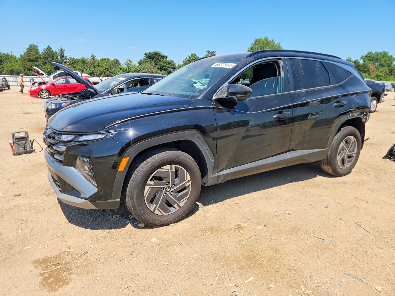 2025 HYUNDAI TUCSON BLUE | KM8JBDD14SU290355 | UPCARS