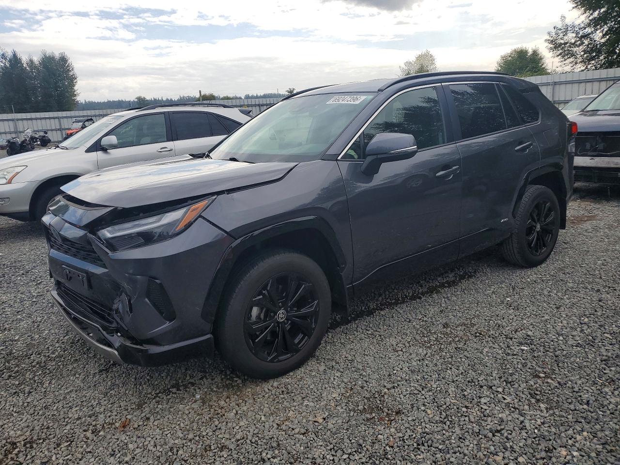 2023 TOYOTA RAV4 SE | JTM16RFV1PD090613 | UPCARS