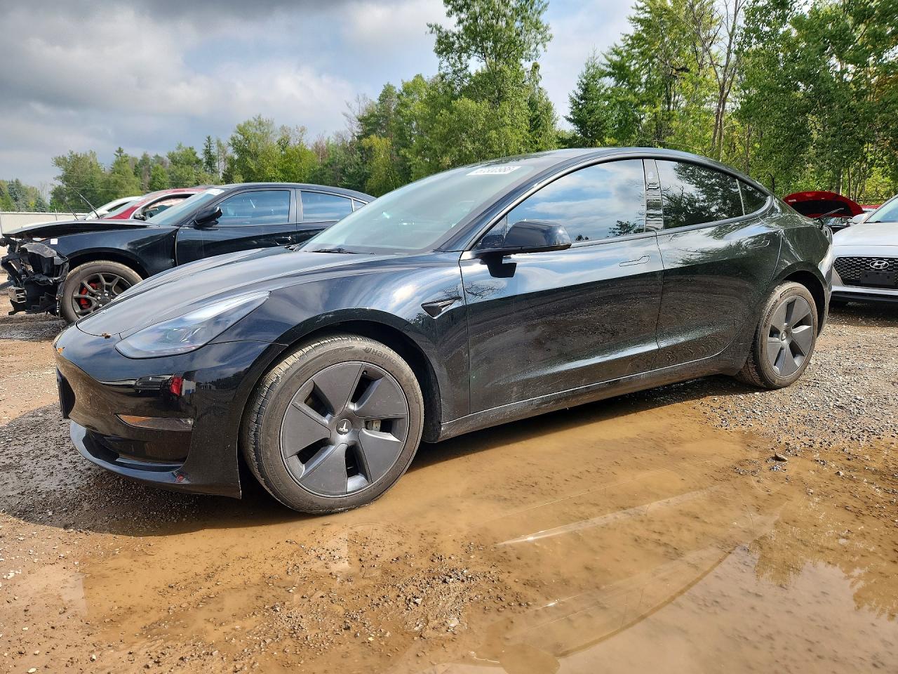 2023 TESLA MODEL 3 | 5YJ3E1EB1PF686267 | UPCARS