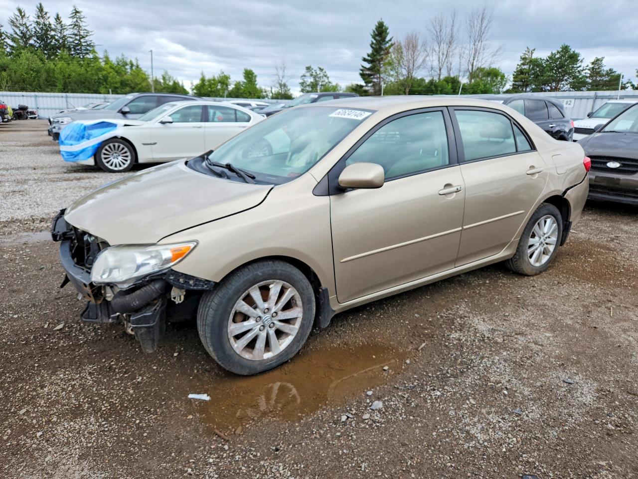 2010 TOYOTA COROLLA LE | 2T1BU4EE0AC283225 | UPCARS