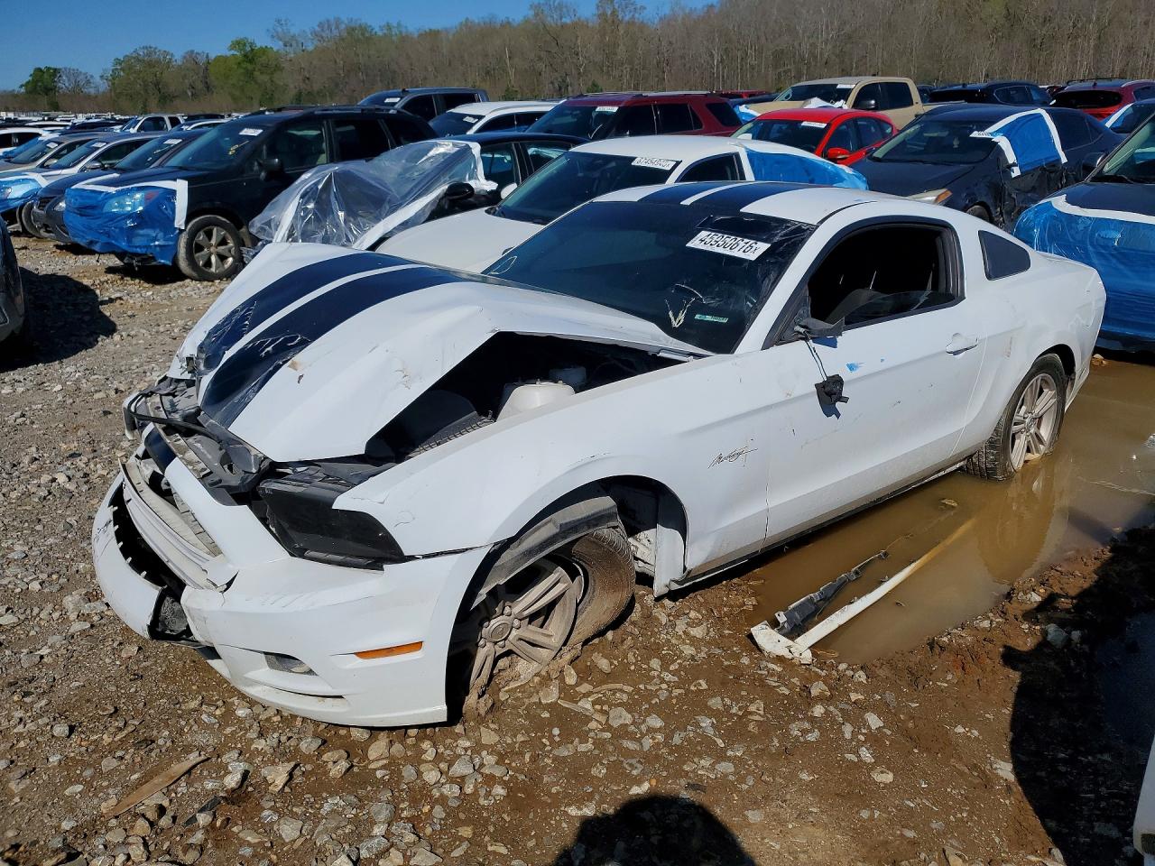 2014 FORD MUSTANG | 1ZVBP8AM7E5275313 | UPCARS