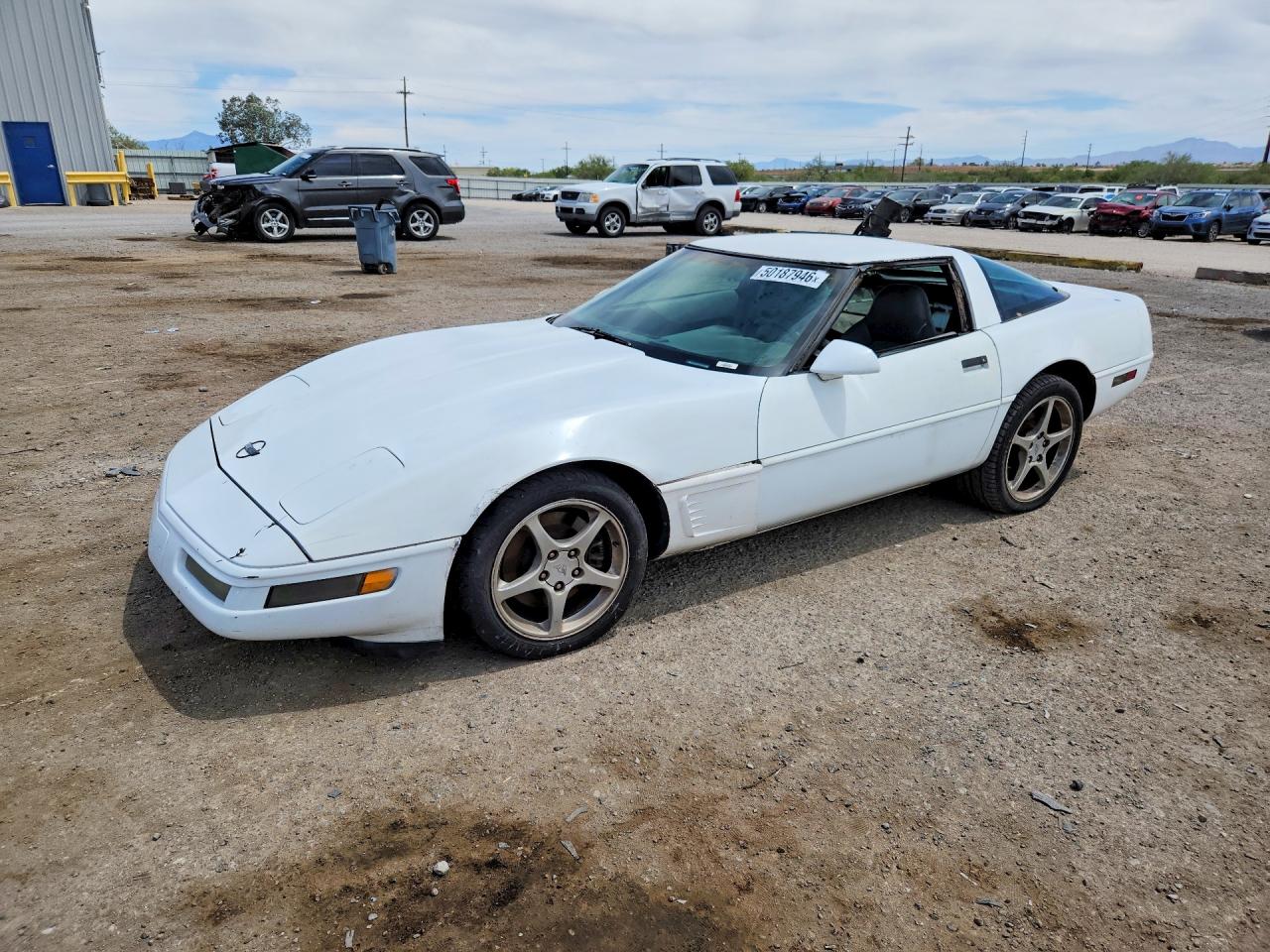 1996 CHEVROLET CORVETTE | 1G1YY22P3T5101213 | UPCARS