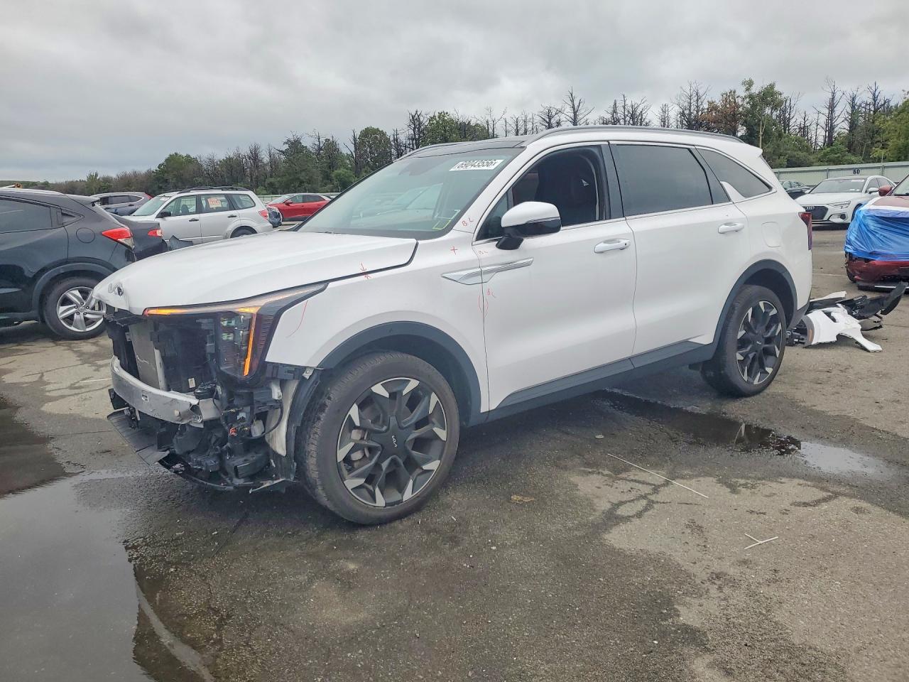 2025 KIA SORENTO EX | 5XYRHDJF7SG369820 | UPCARS