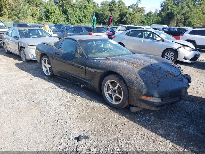 2004 CHEVROLET CORVETTE | 1G1YY22G945129406 | UPCARS