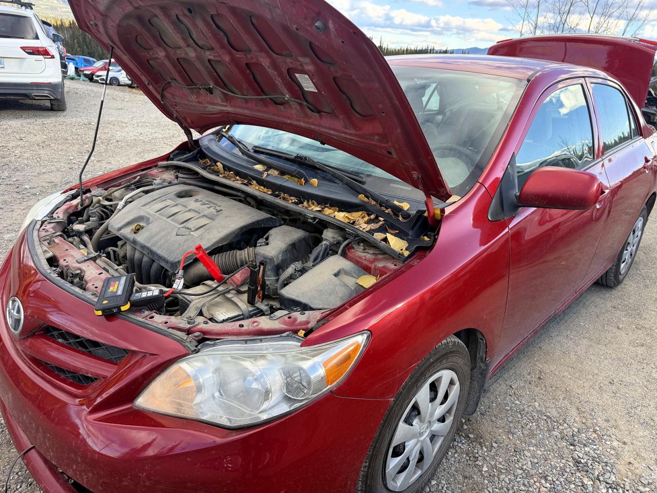 2011 TOYOTA COROLLA | 2T1BU4EE4BC648538 | UPCARS