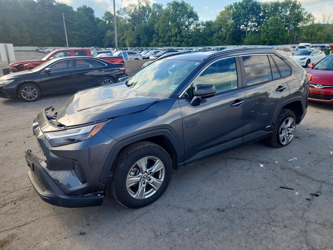 2024 TOYOTA RAV4 LE | 2T3LWRFV2RW204018 | UPCARS