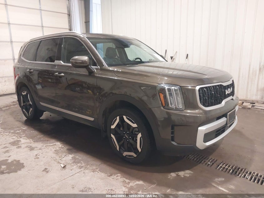 2024 KIA TELLURID EX | 5XYP3DGC7RG504789 | UPCARS