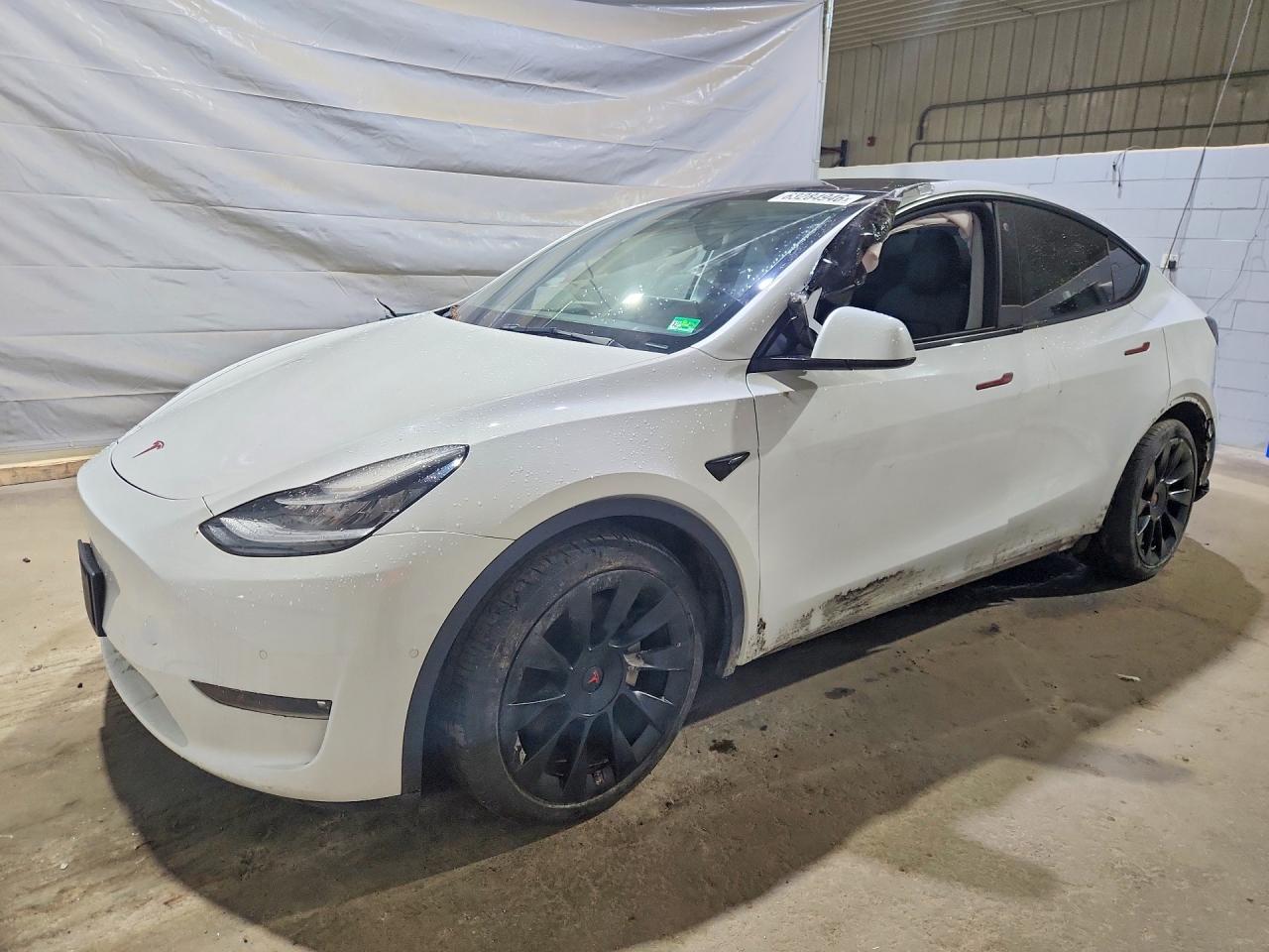 2021 TESLA MODEL Y | 5YJYGDEE2MF191017 | UPCARS