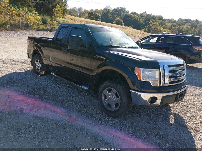2010 FORD F-150 FX4/LARIAT/XL/XLT | 1FTFX1EV6AFA02009 | UPCARS