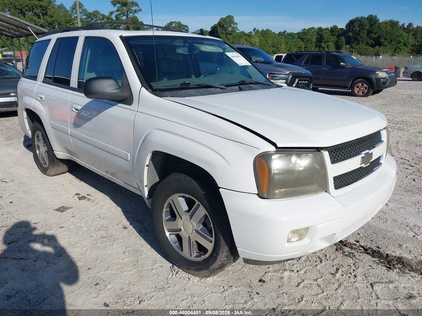2007 CHEVROLET TRAILBLAZER LT | 1GNDS13S872304326 | UPCARS