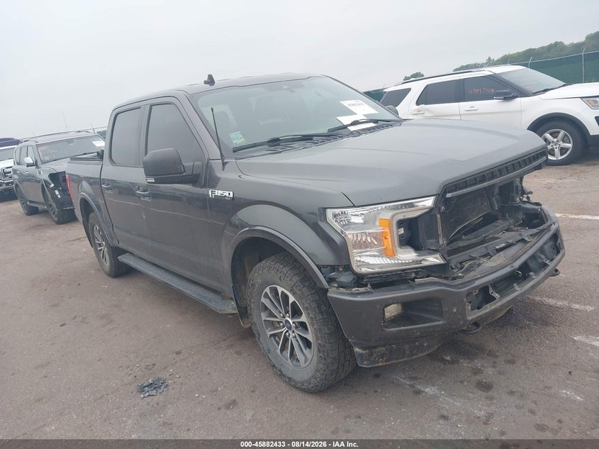 2019 FORD F-150 XLT | 1FTEW1EP2KFA35929 | UPCARS