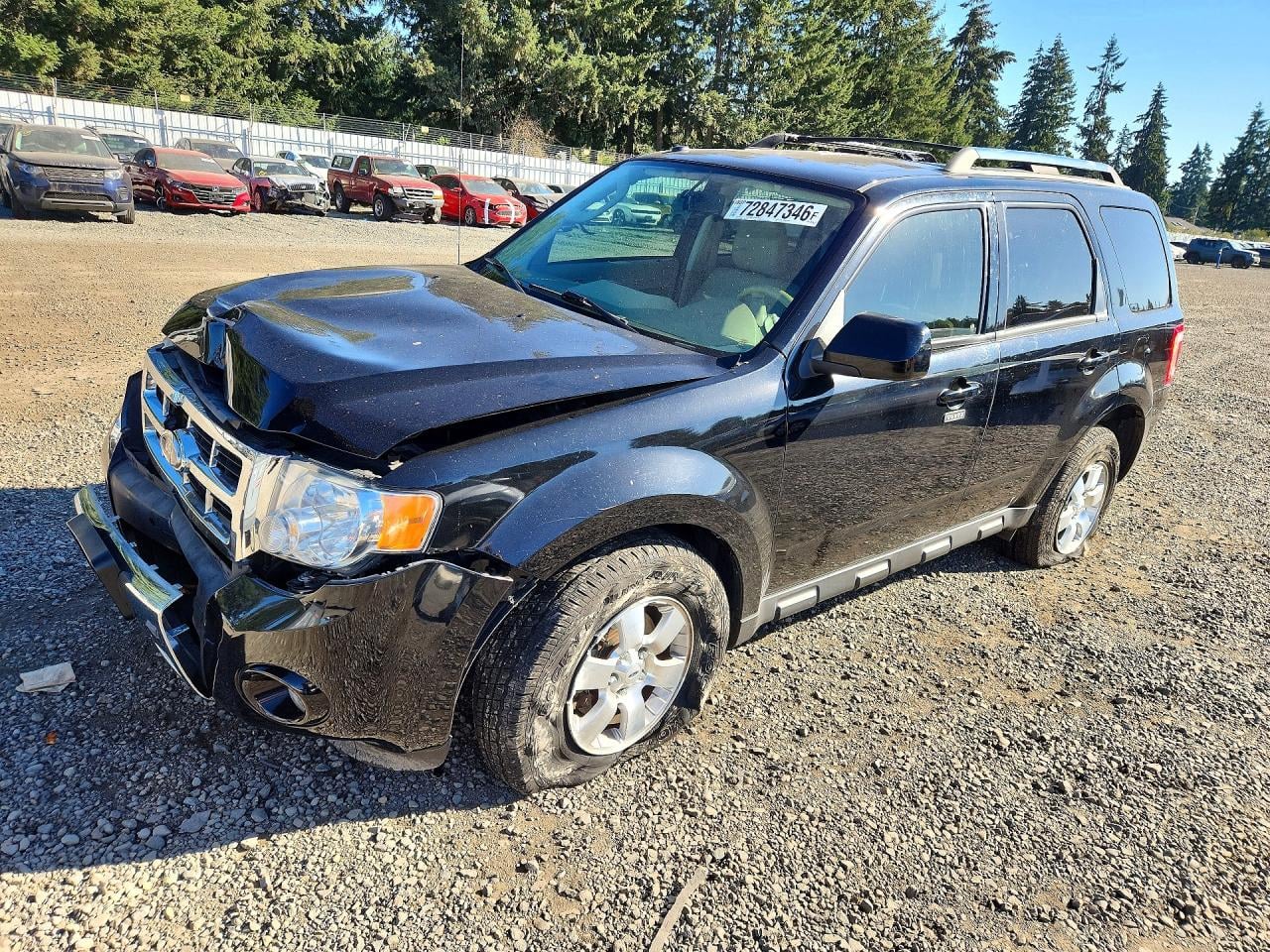 2010 FORD ESCAPE LIMITED | 1FMCU0EG1AKC16500 | UPCARS