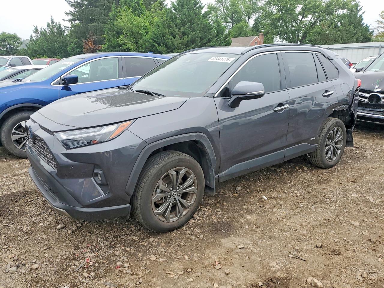 2024 TOYOTA RAV4 LIMITED | 2T3D6RFV5RW079925 | UPCARS