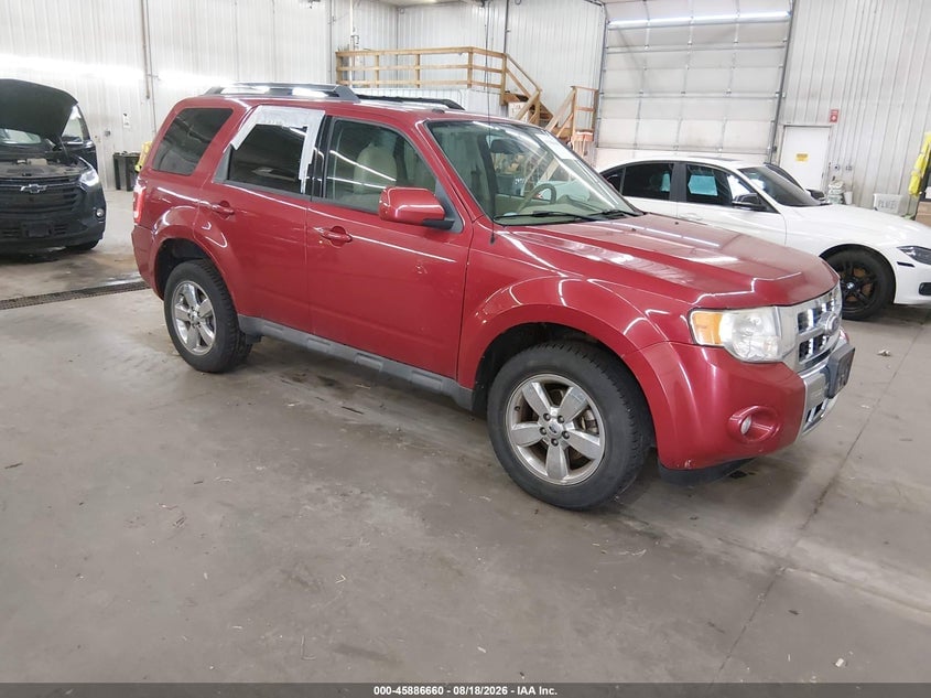2010 FORD ESCAPE LIMITED | 1FMCU9EG8AKB65503 | UPCARS